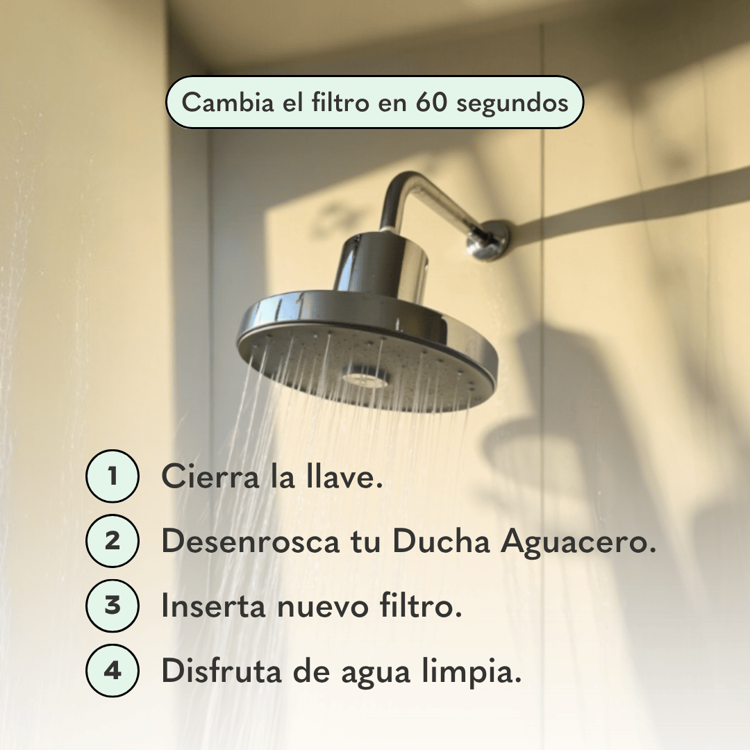 Ducha Purificadora A-0