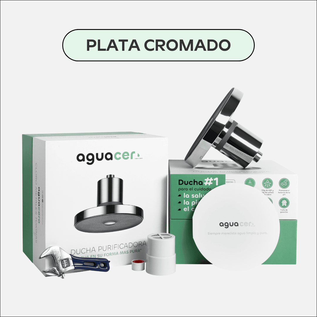 Ducha Purificadora A-0